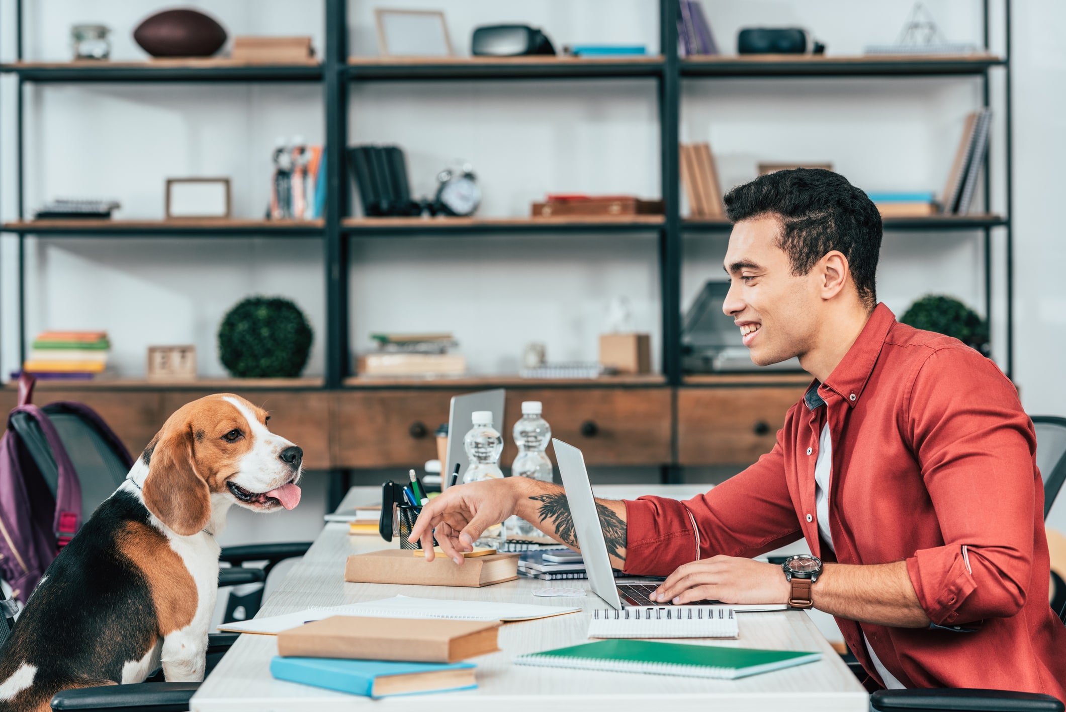 Executivo observa pet no trabalho.